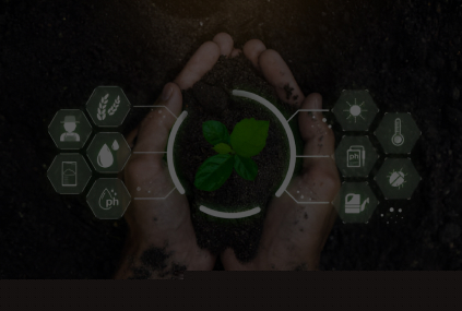 Sustainability background